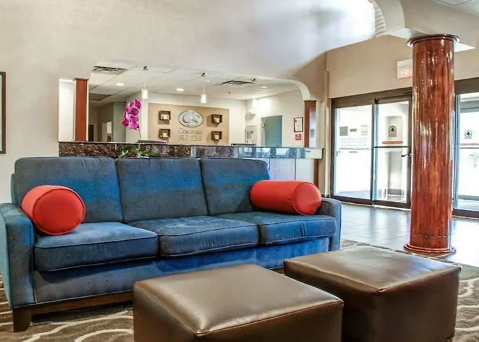 Comfort - Addison Hotel