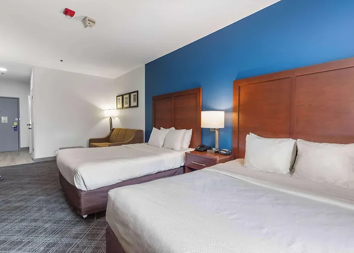 Comfort - Addison Hotel